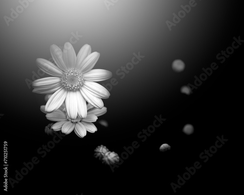 Fototapeta Naklejka Na Ścianę i Meble -  Flower and light; background or texture; spring concept