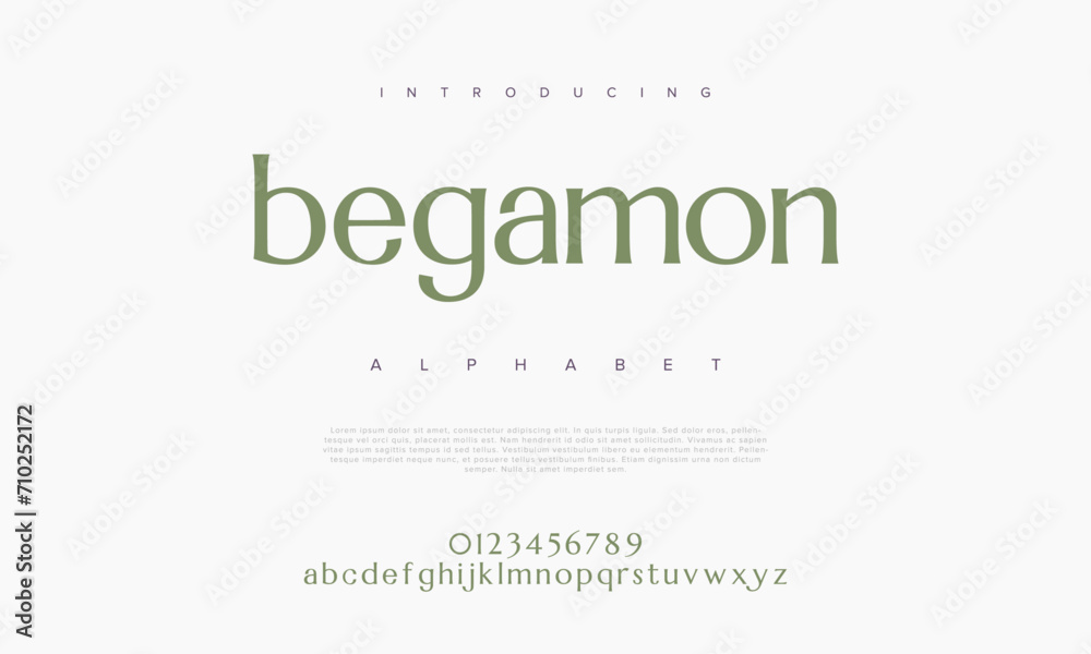 Begamon premium luxury elegant alphabet letters and numbers. Elegant wedding typography classic serif font decorative vintage retro. Creative vector illustration