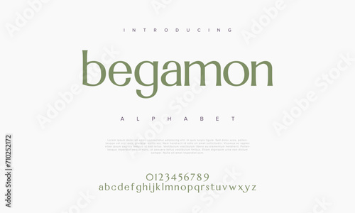 Begamon premium luxury elegant alphabet letters and numbers. Elegant wedding typography classic serif font decorative vintage retro. Creative vector illustration