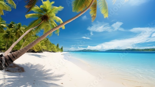 beach concept summer background illustration vacation relaxation, travel outdoors, hot tropical beach concept summer background