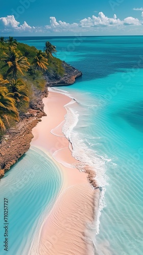 a pink sand beach and palm trees