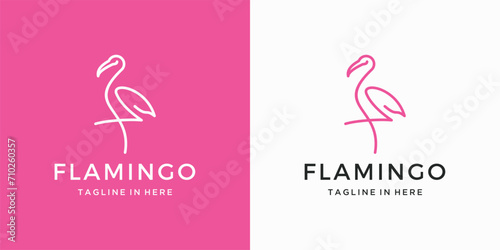 flamingo photo