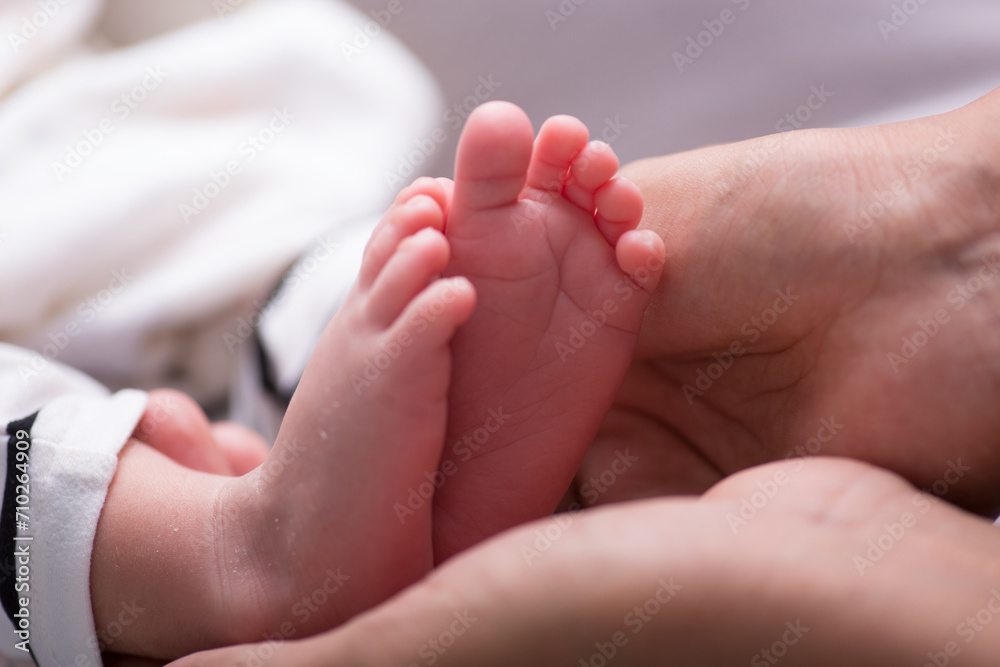 Newborn soft baby feet body part delicate motherhood Newborn soft baby feet body part delicate motherhood