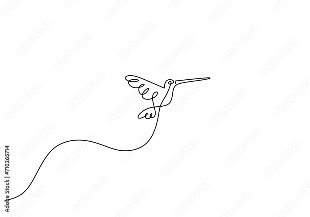 Hummingbird continuous one line art drawing. Vector illustration isolated. Minimalist design handdrawn. Hummingbird continuous one line art drawing. Vector illustration isolated. Minimalist design handdrawn.