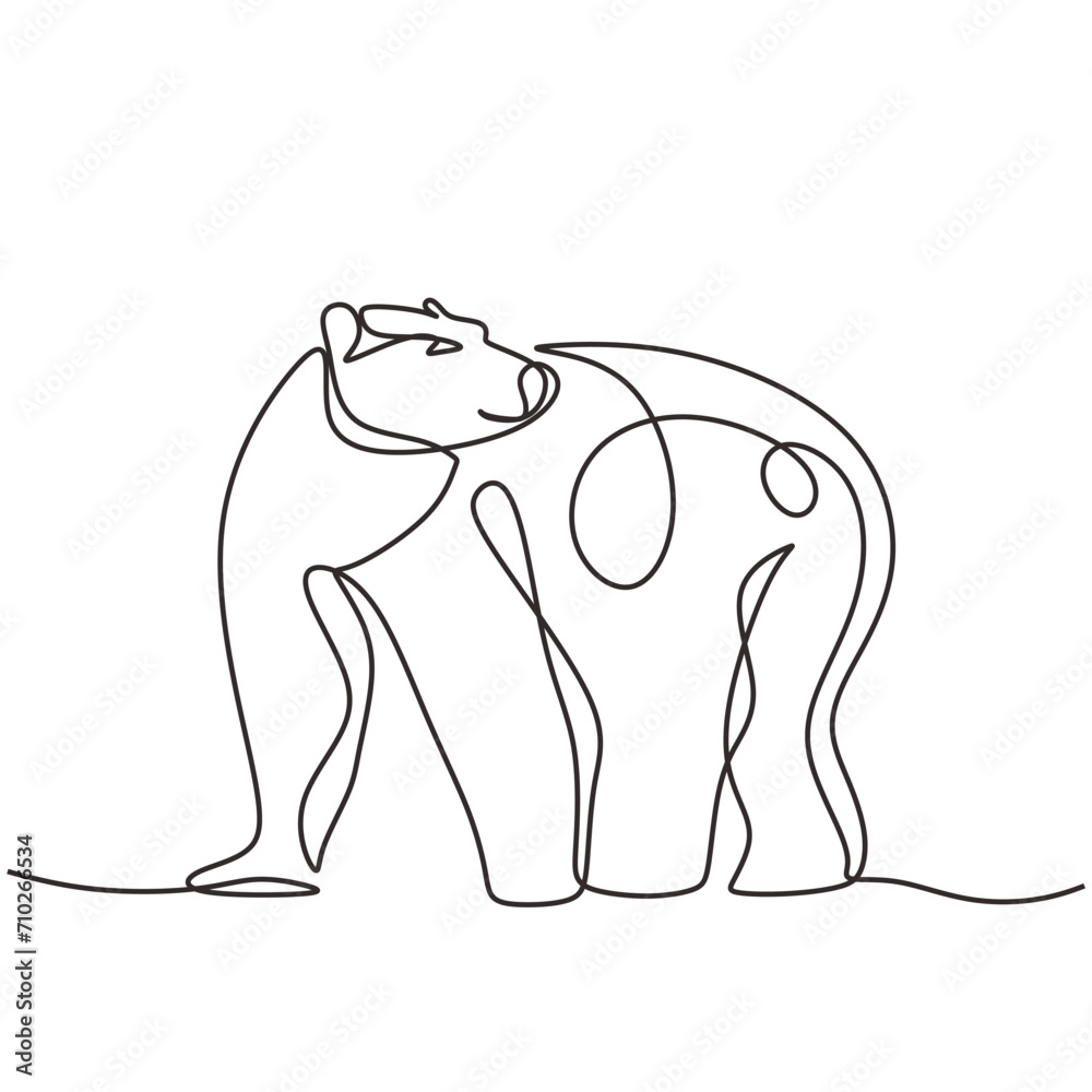 Obraz premium Bear wild animal in continuous line art drawing. One single outline wildlife concept. Vector illustration isolated. Minimalist design handdrawn.