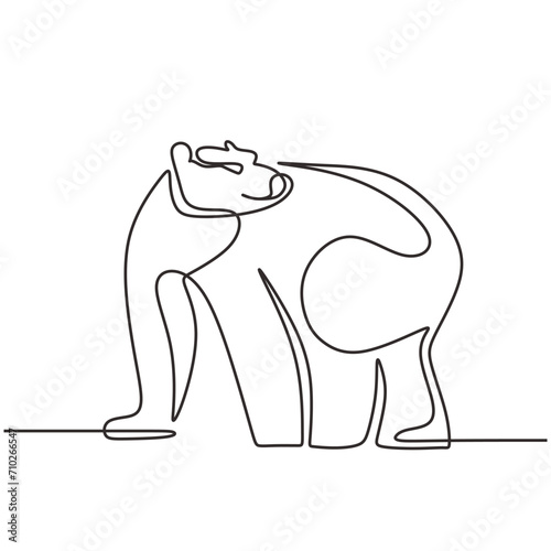 Bear wild animal in continuous line art drawing. One single outline wildlife concept. Vector illustration isolated. Minimalist design handdrawn.