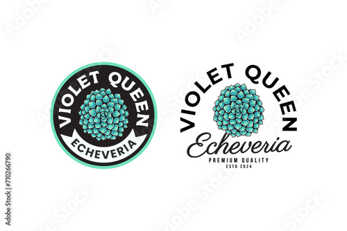 echeveria of violet queen succulents logo design for plant shop and lover business
