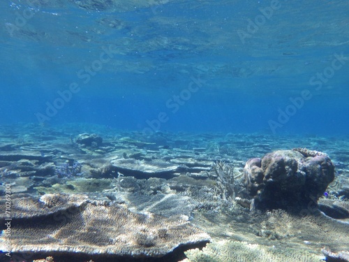 沖縄の海 