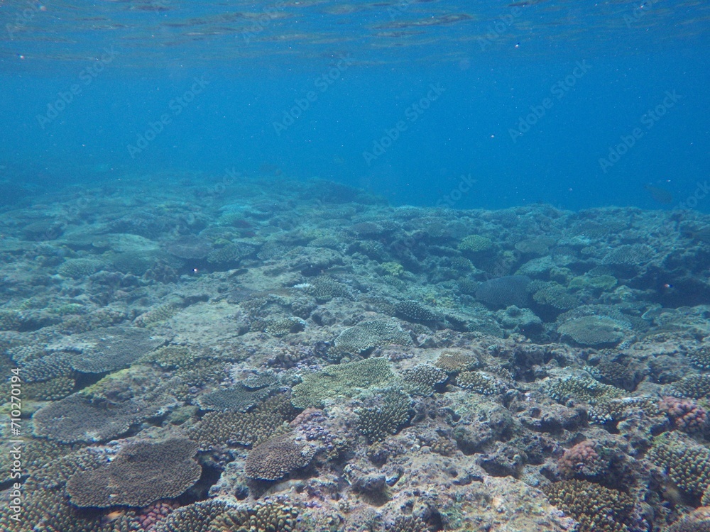 沖縄の海
沖縄の海