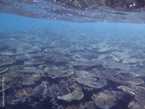 沖縄の海	
