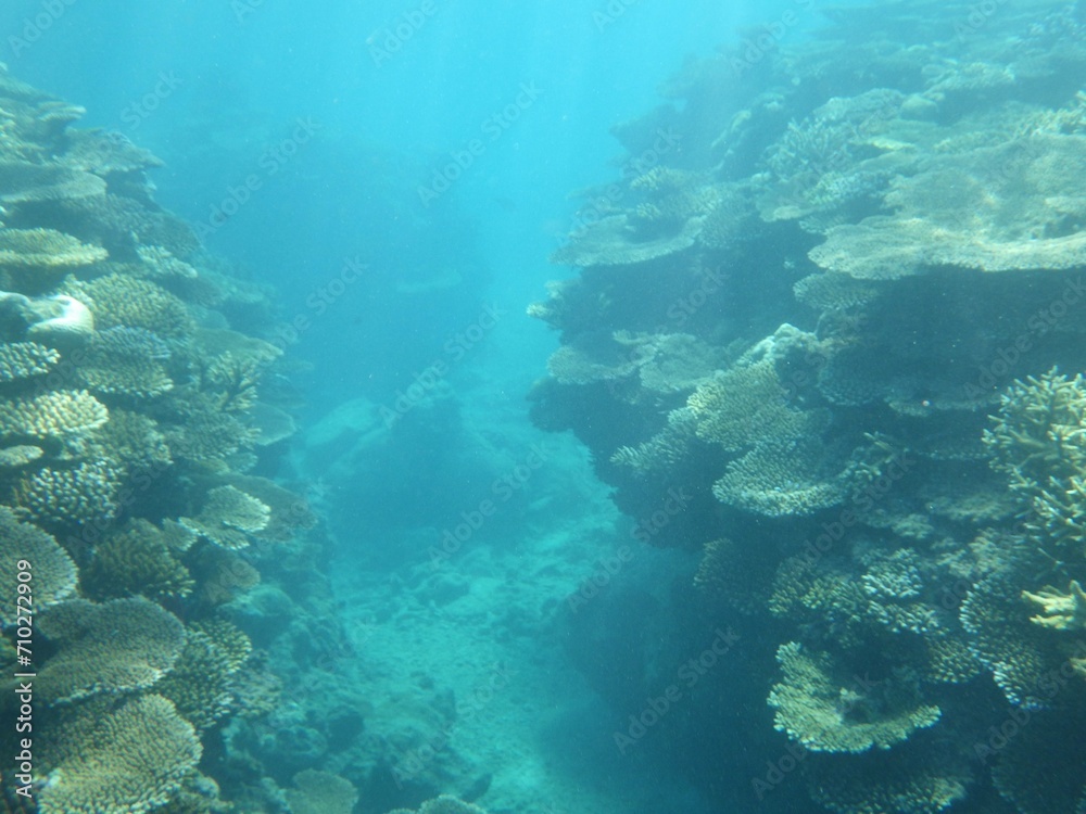 Fototapeta premium 沖縄の海 