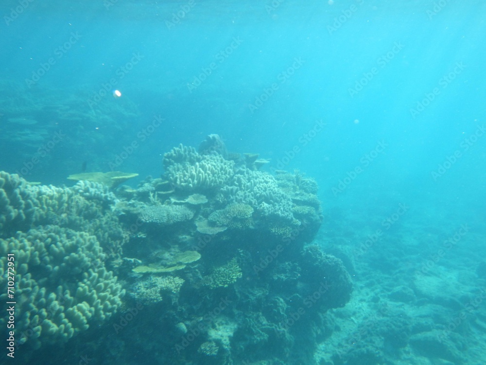 沖縄の海
沖縄の海