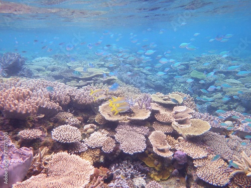 沖縄の海 