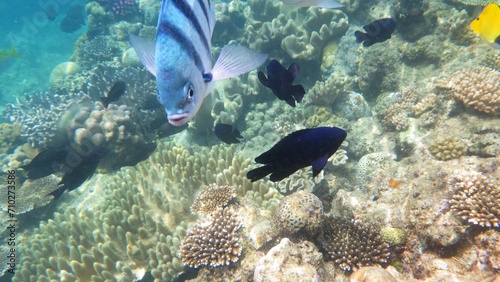 沖縄の海	
