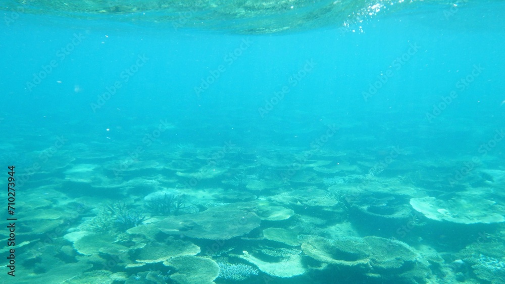 沖縄の海	
