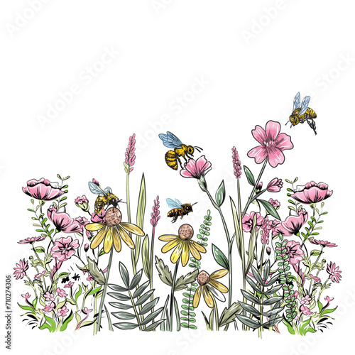 botanical flower illustration with bee sunflower honeybee vector t-shirt (ID: 710274306)