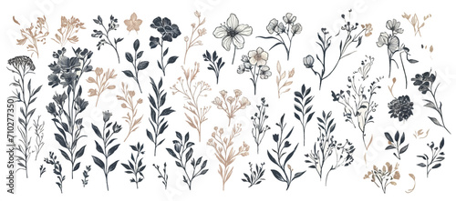 floral decorations elegant vector