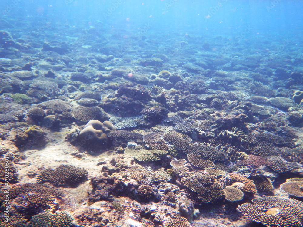 沖縄の海
沖縄の海