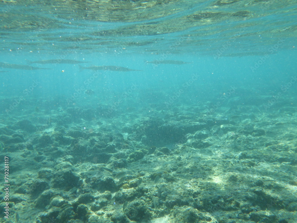 沖縄の海	
