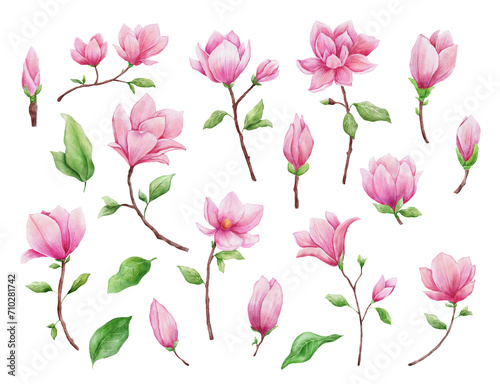 Watercolor magnolia isolated on white background. Hand drawn pink flower for greeting cards  invitations. Botanical hand painted illustrations set