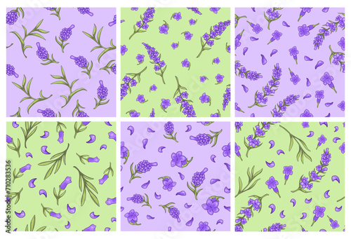 Background decoration set with lavender plants