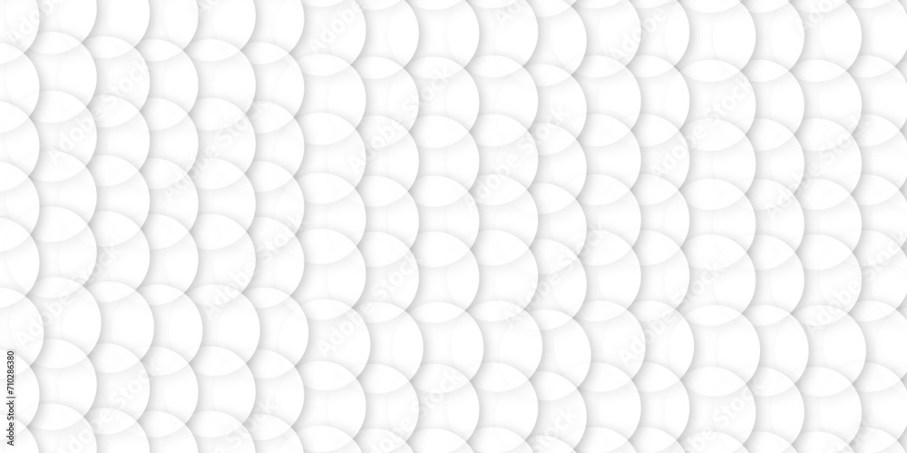 Abstract white background with circles. background white in cover design, book design, website background. digital technology wallpaper used in the corporate in design. Abstract white background with circles. background white in cover design, book design, website background. digital technology wallpaper used in the corporate in design.