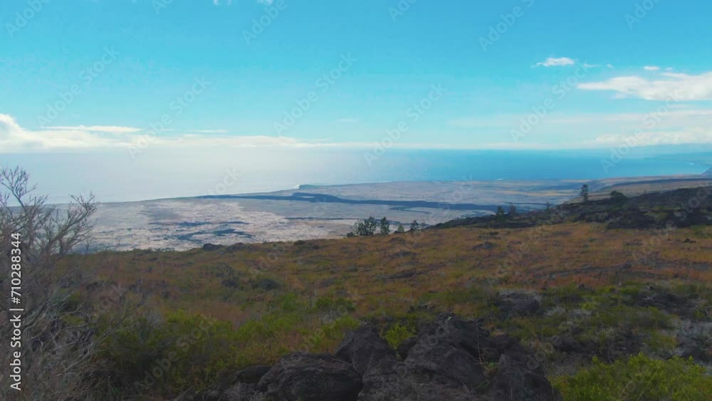 Vegetation and virgin nature landscape near fresh volcanic rock formation after eruption, Hawaii USA Vegetation and virgin nature landscape near fresh volcanic rock formation after eruption, Hawaii USA