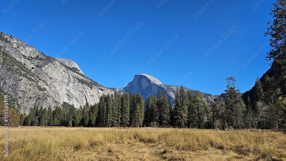 Obraz premium Wildlife climate