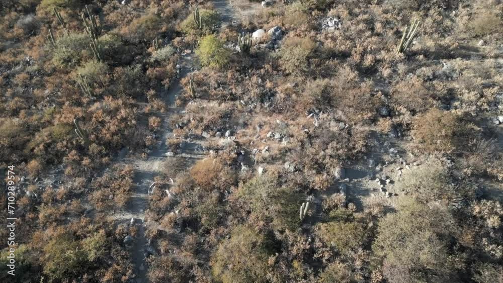 Aerial flying over vegetation in mountains of Northern Argentina, revealing farm Aerial flying over vegetation in mountains of Northern Argentina, revealing farm