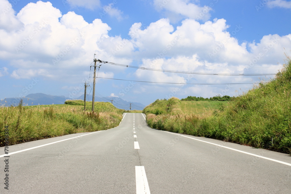 Fototapeta premium 晩夏の草原
