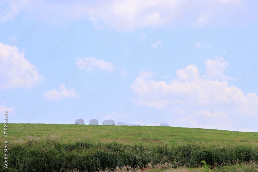 草原と青空と白い雲