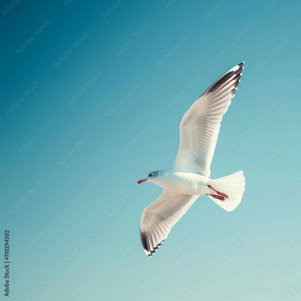 Fototapeta premium White Bird Soaring Gracefully Above a Vivid Blue Sky