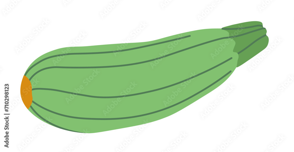 Zucchini, ripe marrow squash natural product Zucchini, ripe marrow squash natural product