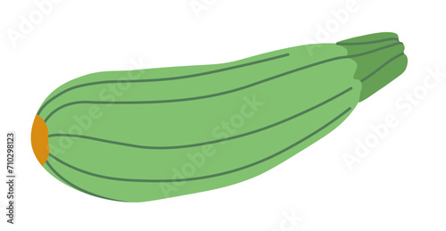 Zucchini, ripe marrow squash natural product