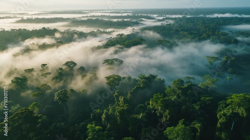 Aerial view of beautiful tropical rainforest in morning mist at sunrise