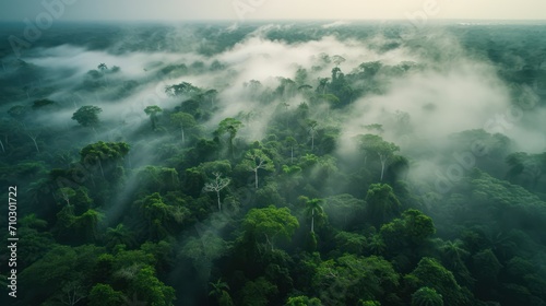 Beautiful aerial view of misty tropical forest in morning time. photo