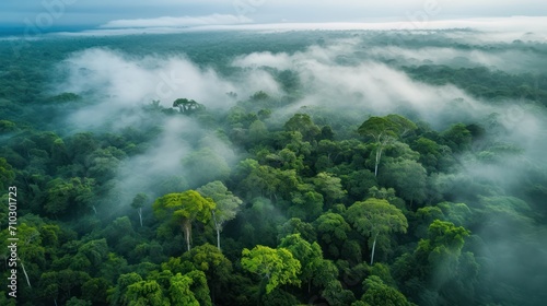 Aerial view of tropical rainforest with morning fog. Nature background © Christiankhs