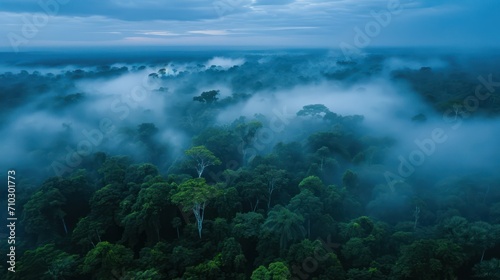 Aerial view of foggy forest in the morning.