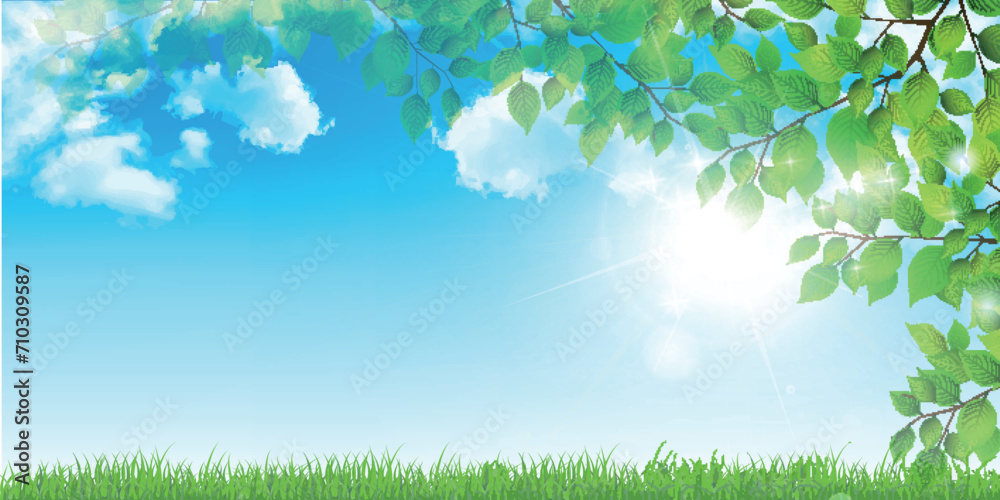 新緑 葉 風景 背景 新緑 葉 風景 背景