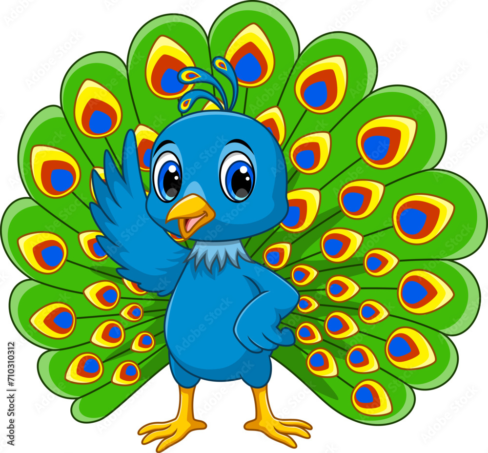 Beautiful peacock cartoon on white background Beautiful peacock cartoon on white background