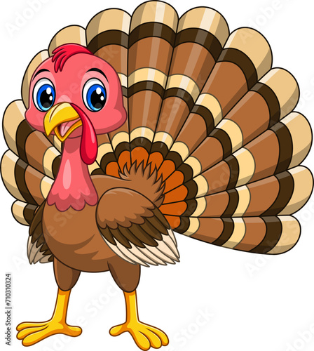 Cute Cartoon  turkey bird  on white background