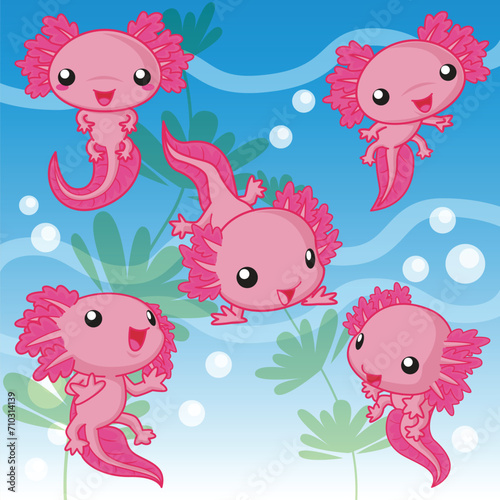 Axolotl Cartoon, Cute Animal Vector, Cute Animal