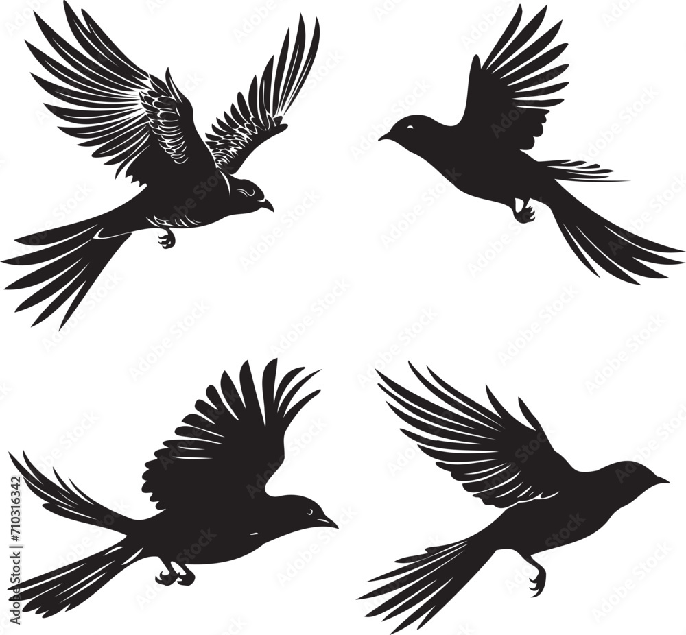 Fototapeta premium Set of Cuckoo flying Black silhouette on white background 