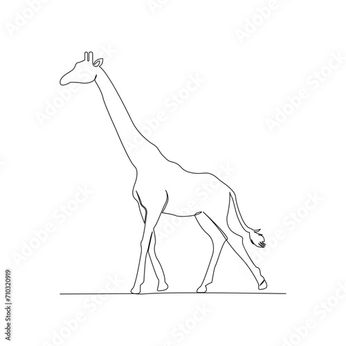 Continuous one line giraffe single line art design and world wildlife Day concept hand drawn minimalist style vector illustration