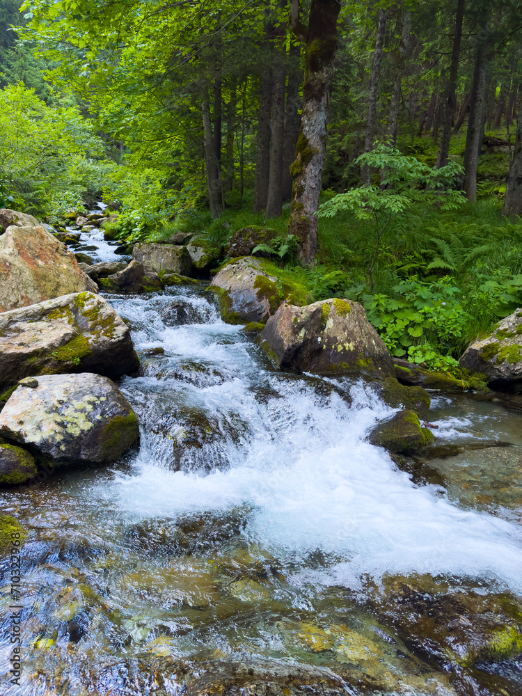 A turbulent river flows over stones from the mountains in the forest A turbulent river flows over stones from the mountains in the forest