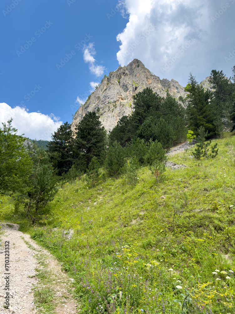 Obraz premium Country road in a mountainous area with a beautiful landscape