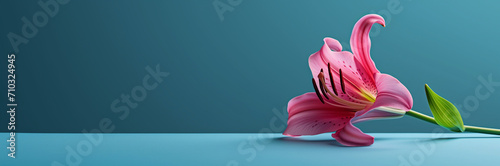 Vibrant pink lily with a prominent pistil on a tranquil blue surface, suitable for serene nature themes or tranquil spa settings