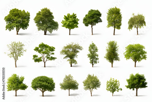Trees Collection Set on White Background