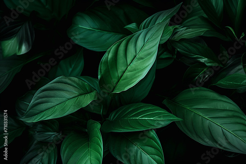 Close-up of green leaves on a dark background, Generative AI