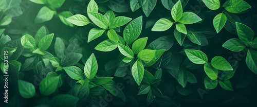 Close-up of a bunch of green leaves, nature, Generative AI